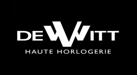 DeWitt-Logo-light-480x265 ConsulT IM site internet marketplace